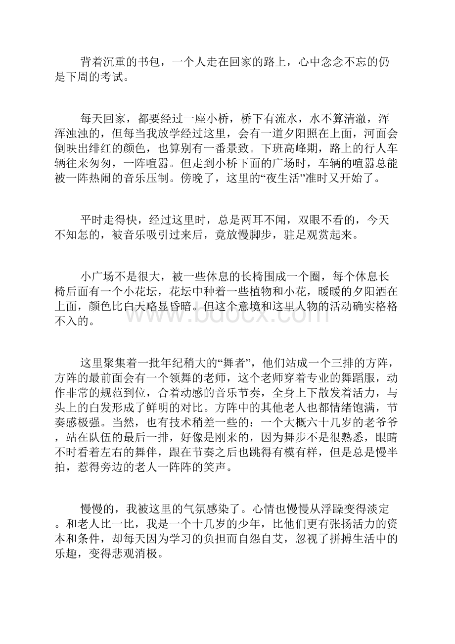 这里也有乐趣满分作文.docx_第2页