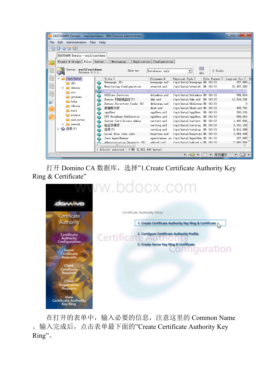 配置Domino CA以支持SSLHTTPS.docx_第2页