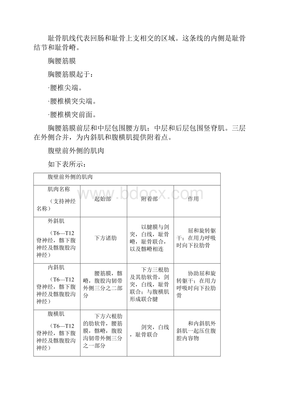 解剖学 第四章.docx_第3页