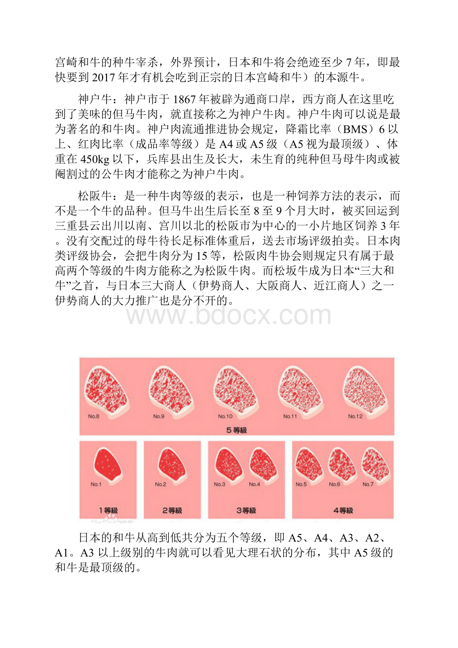 牛排知识讲解.docx_第2页