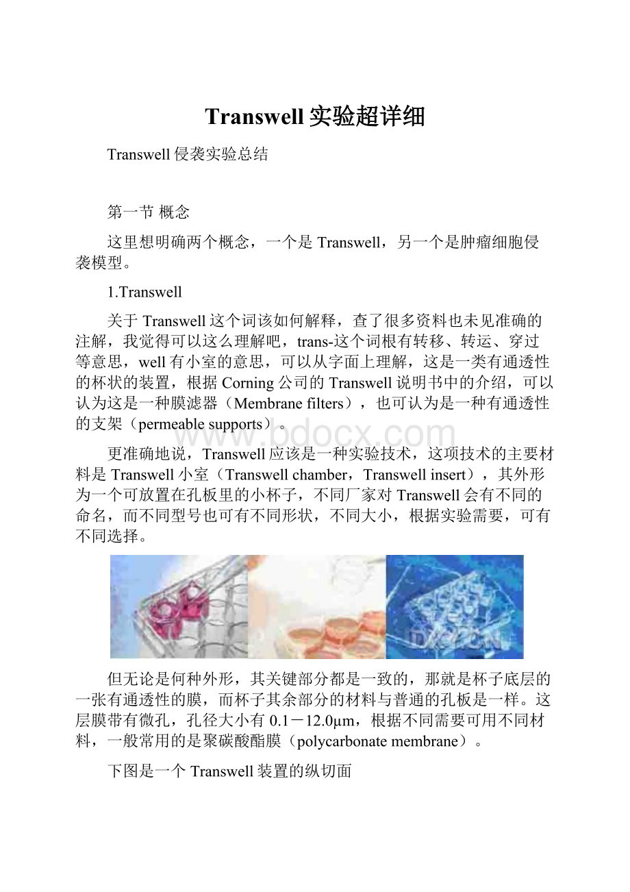 Transwell实验超详细.docx_第1页