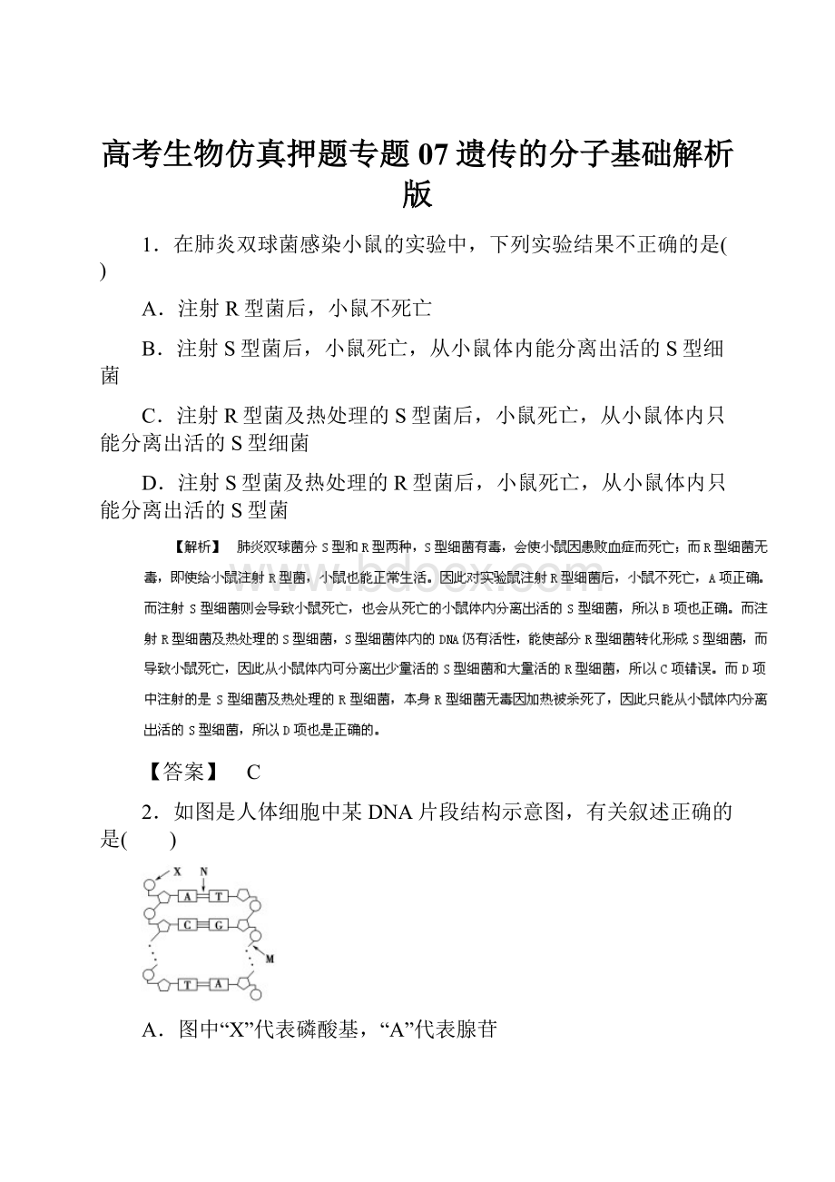 高考生物仿真押题专题07遗传的分子基础解析版.docx_第1页