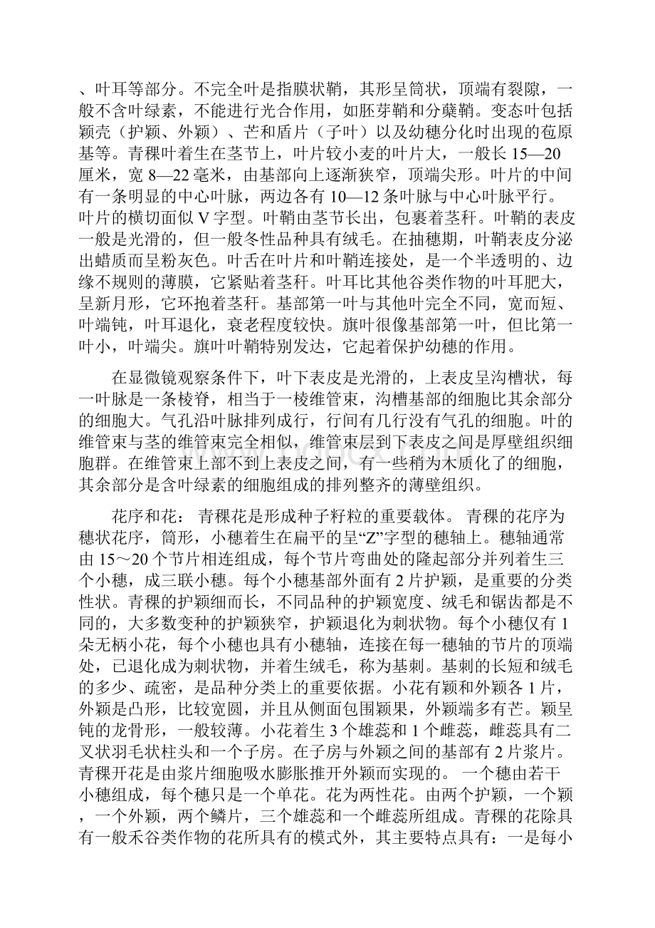 青稞特征和品种详解.docx_第3页