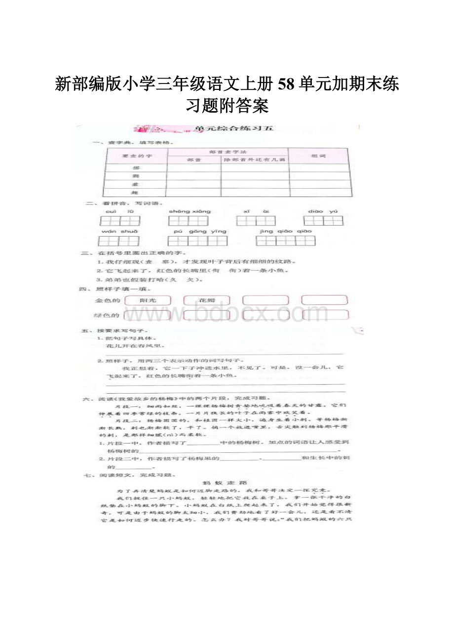 新部编版小学三年级语文上册58单元加期末练习题附答案.docx_第1页