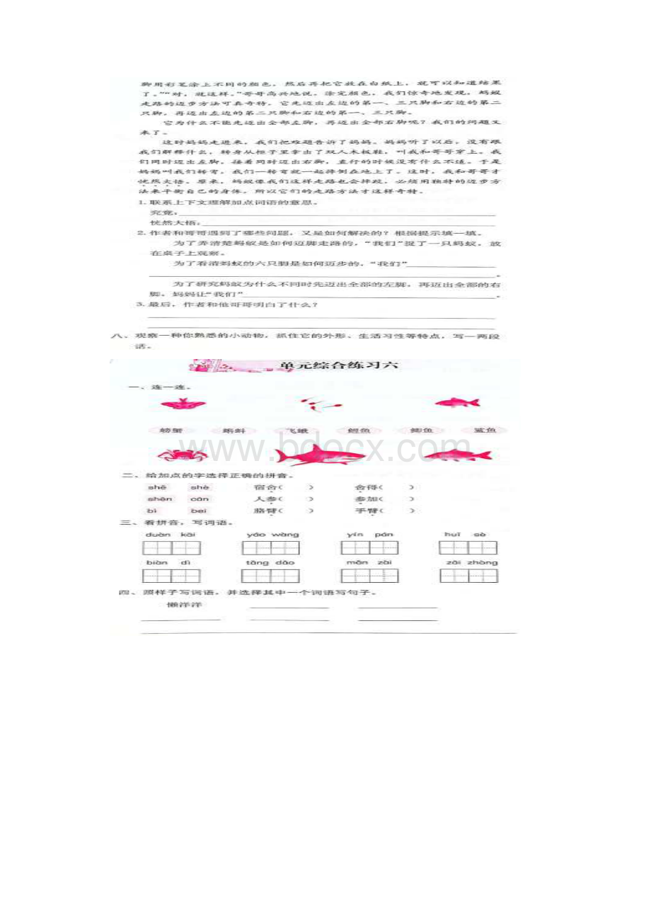 新部编版小学三年级语文上册58单元加期末练习题附答案.docx_第2页