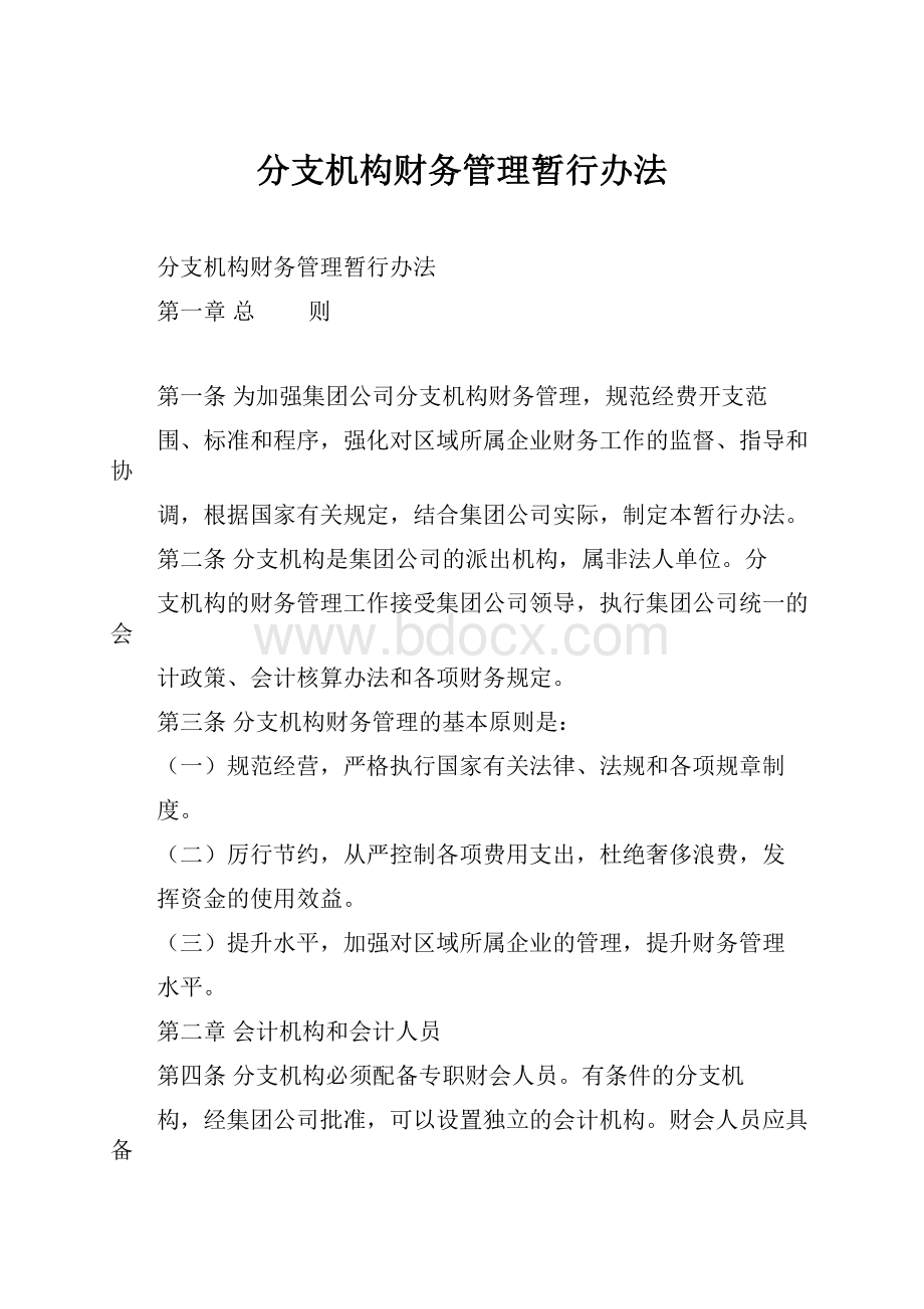 分支机构财务管理暂行办法.docx