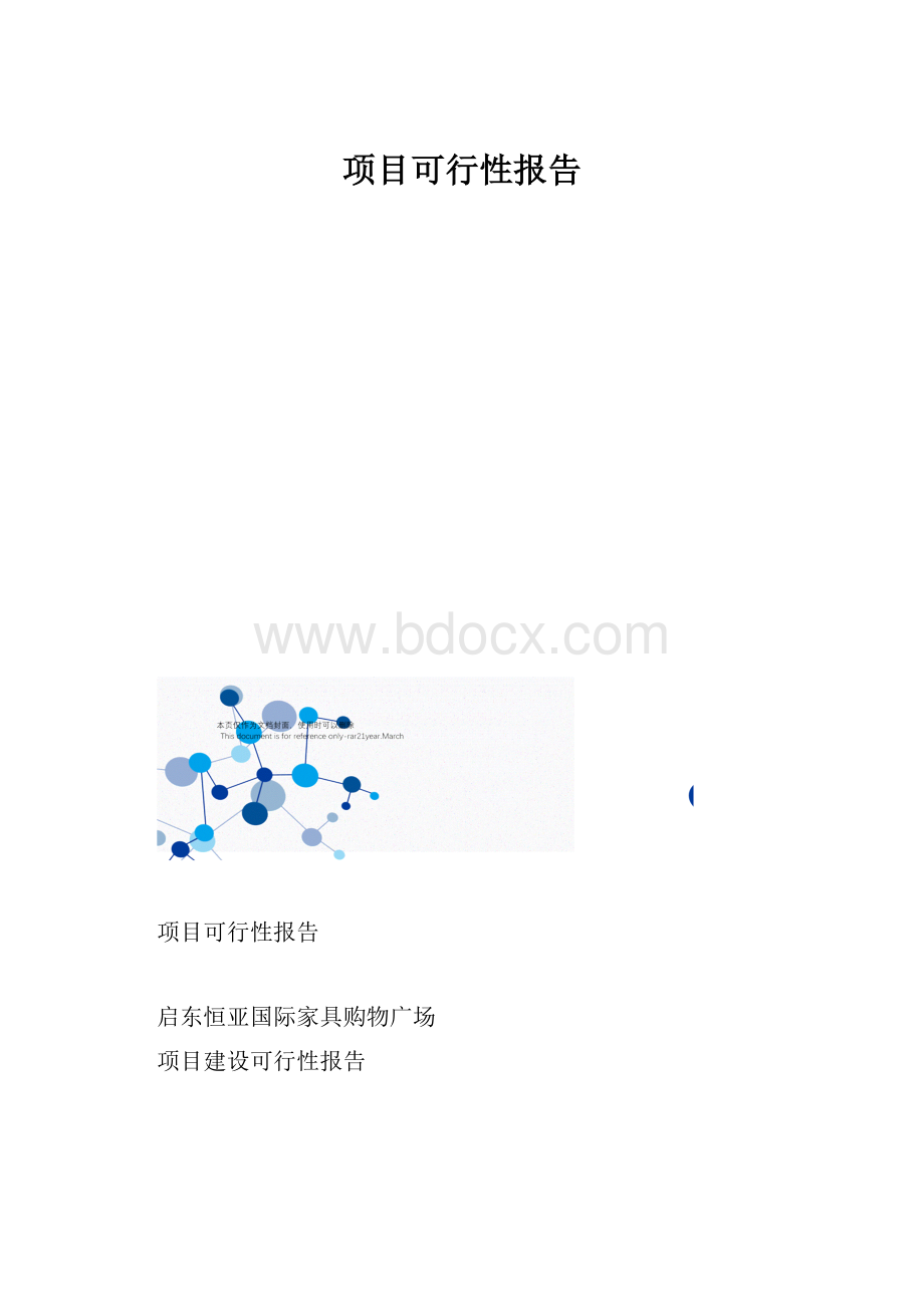 项目可行性报告.docx_第1页