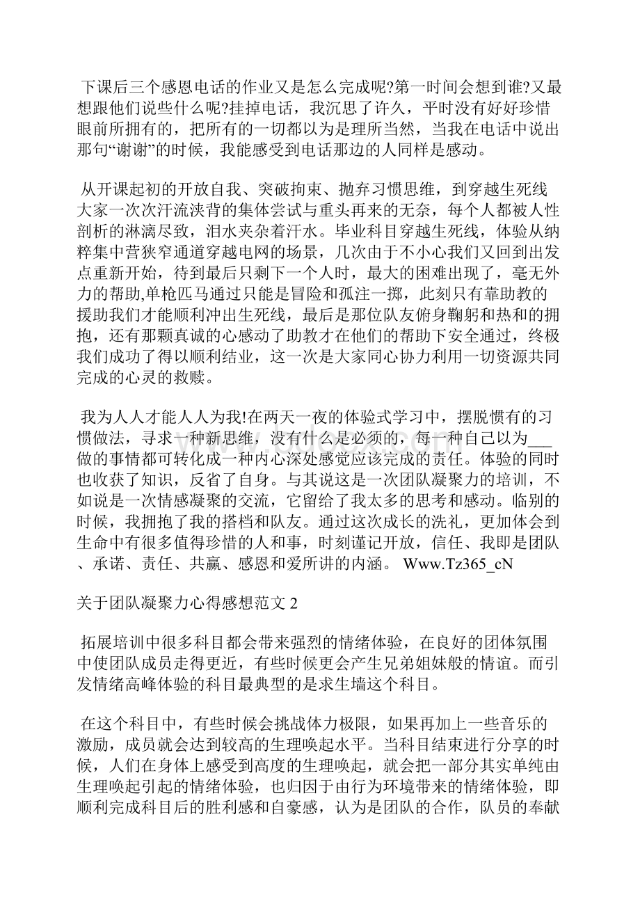 关于团队凝聚力心得感想范文 团队凝聚力感悟作文.docx_第2页