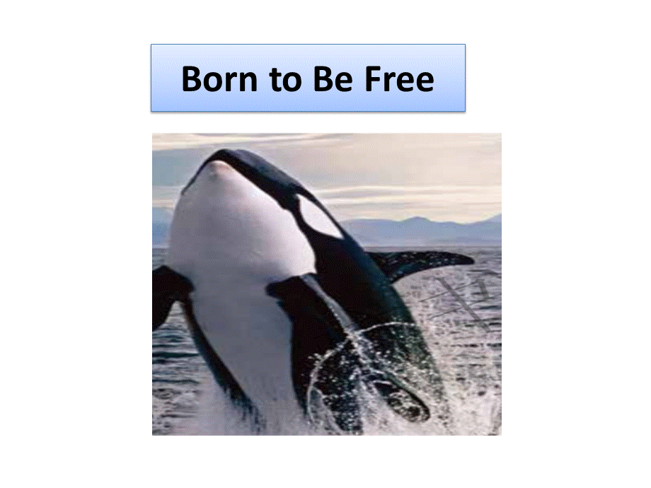 多维阅读第13级—Born-to-Be-Free-生而自由.pptx