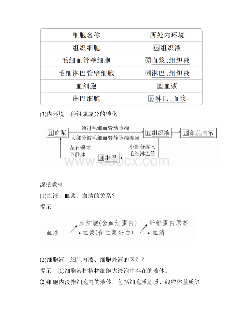 版高考生物复习第8单元生命活动的调节第24讲人体的内环境与稳态学案.docx_第2页