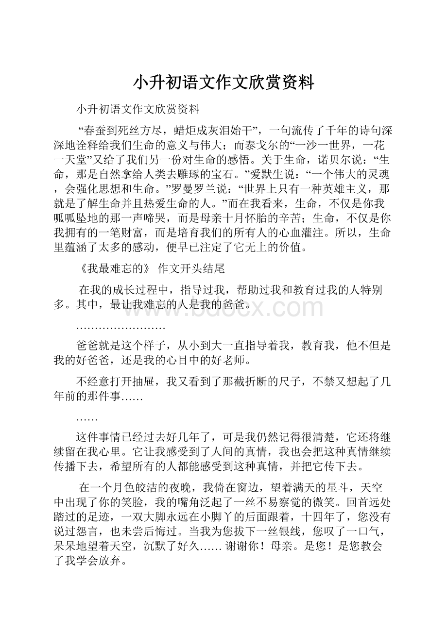 小升初语文作文欣赏资料.docx