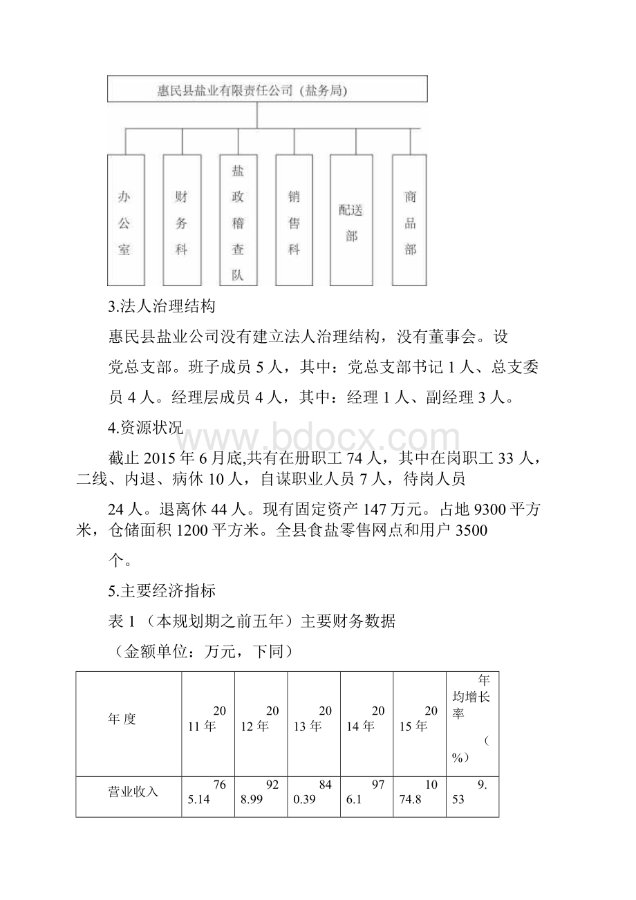 企业发展战略与规划编制大纲.docx_第2页