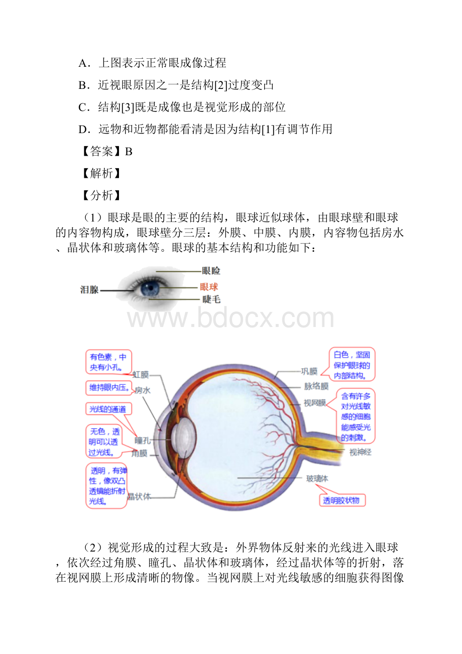 人教版初一生物《生物圈中的人》知识点练习.docx_第2页