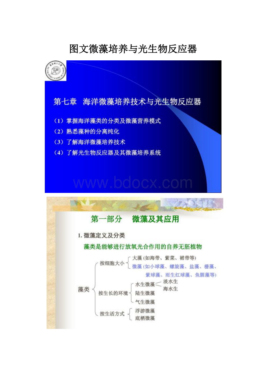 图文微藻培养与光生物反应器.docx