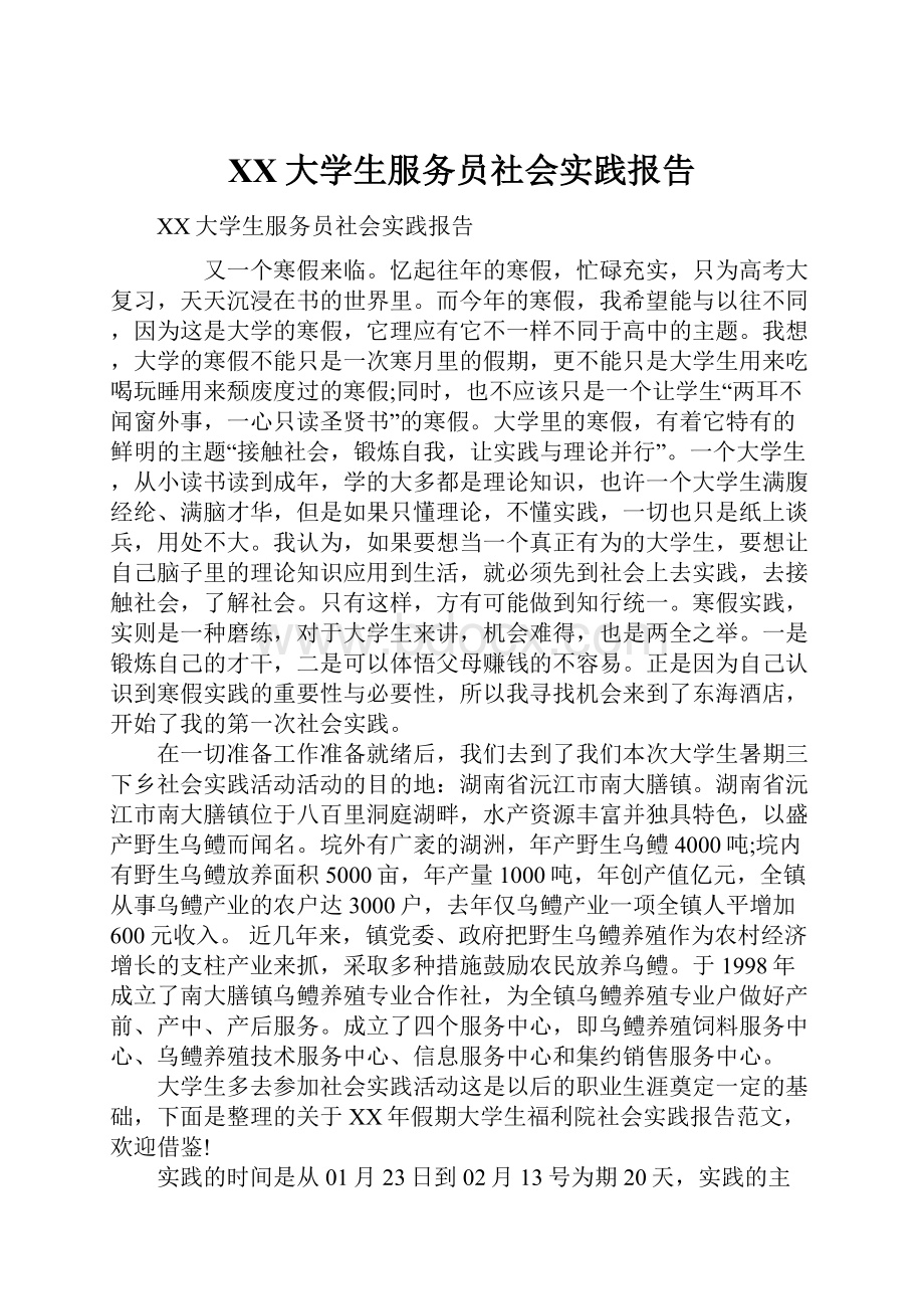 XX大学生服务员社会实践报告.docx