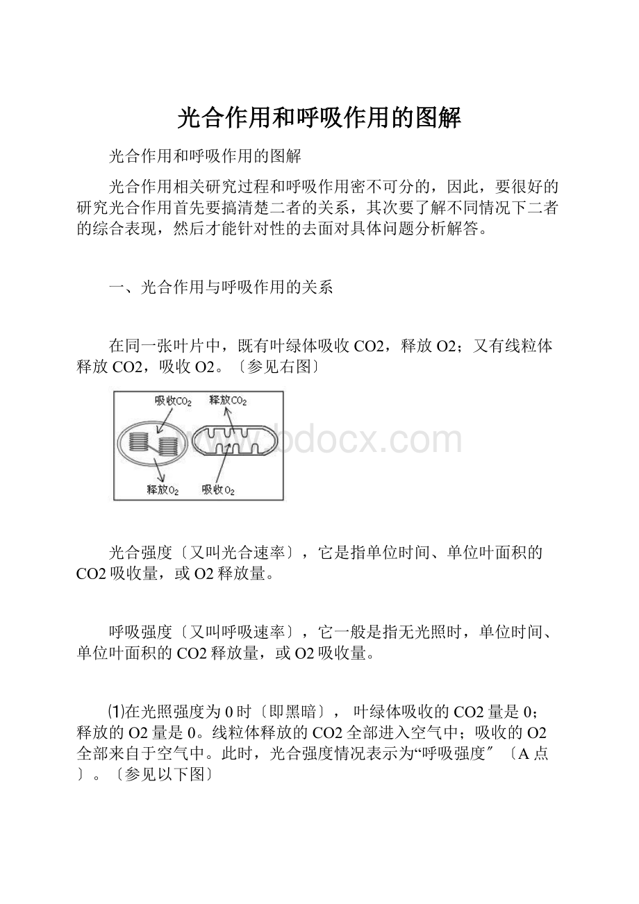 光合作用和呼吸作用的图解.docx