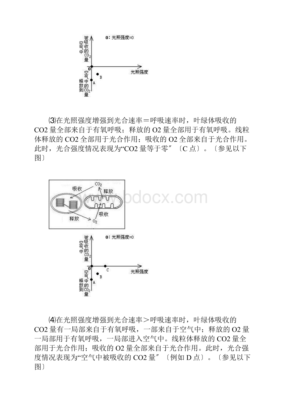 光合作用和呼吸作用的图解.docx_第3页