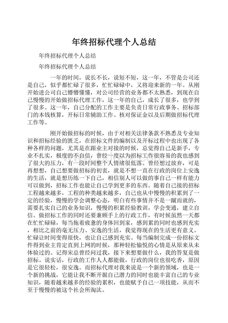 年终招标代理个人总结.docx