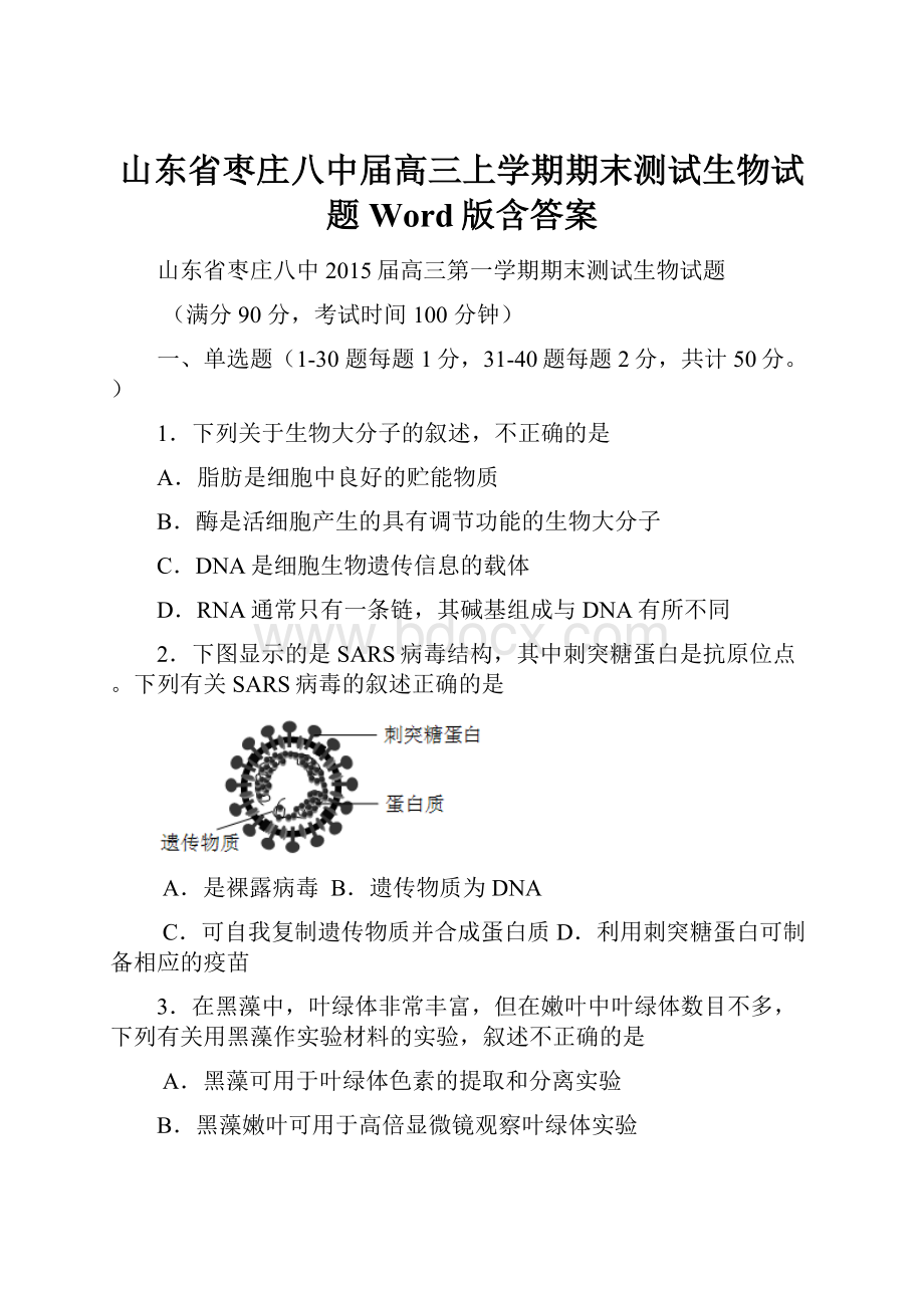 山东省枣庄八中届高三上学期期末测试生物试题 Word版含答案.docx