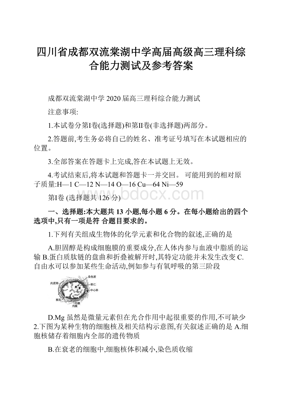 四川省成都双流棠湖中学高届高级高三理科综合能力测试及参考答案.docx