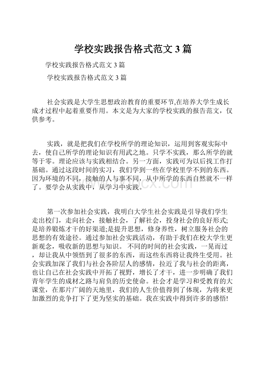 学校实践报告格式范文3篇.docx