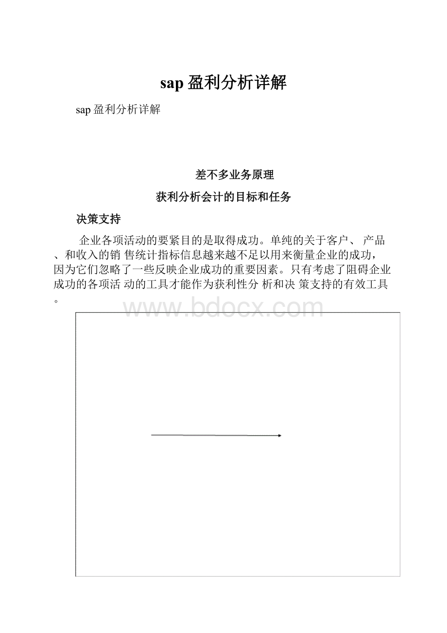 sap盈利分析详解.docx_第1页