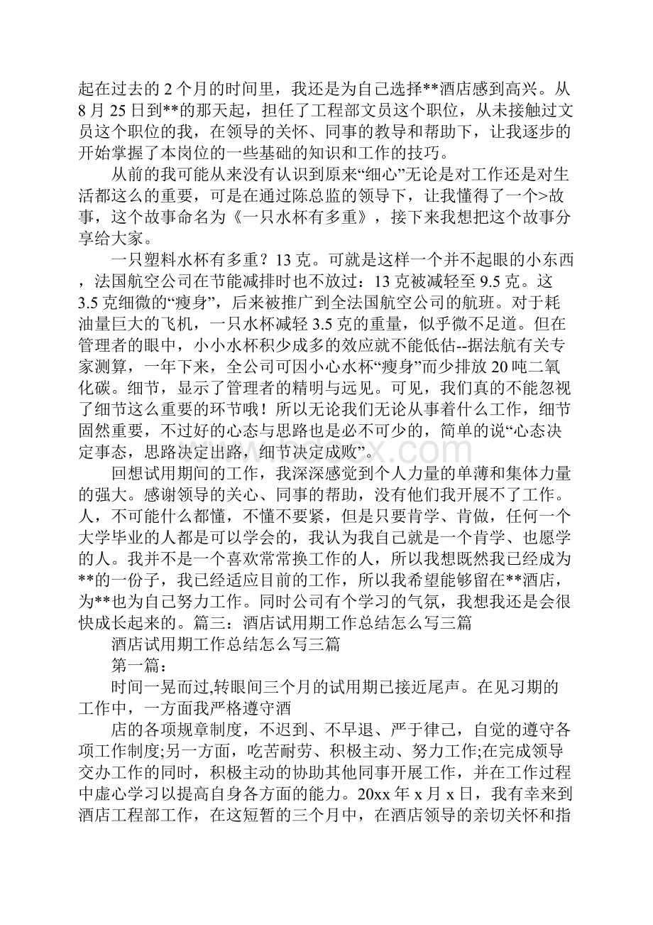 酒店销售员试用期工作总结.docx_第2页