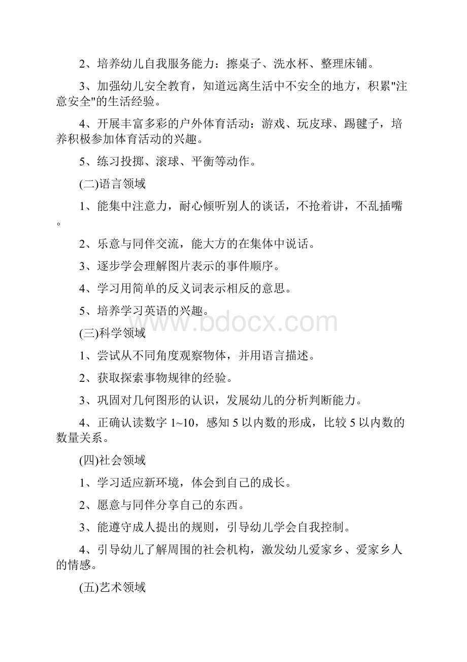 大班教育教学计划.docx_第2页