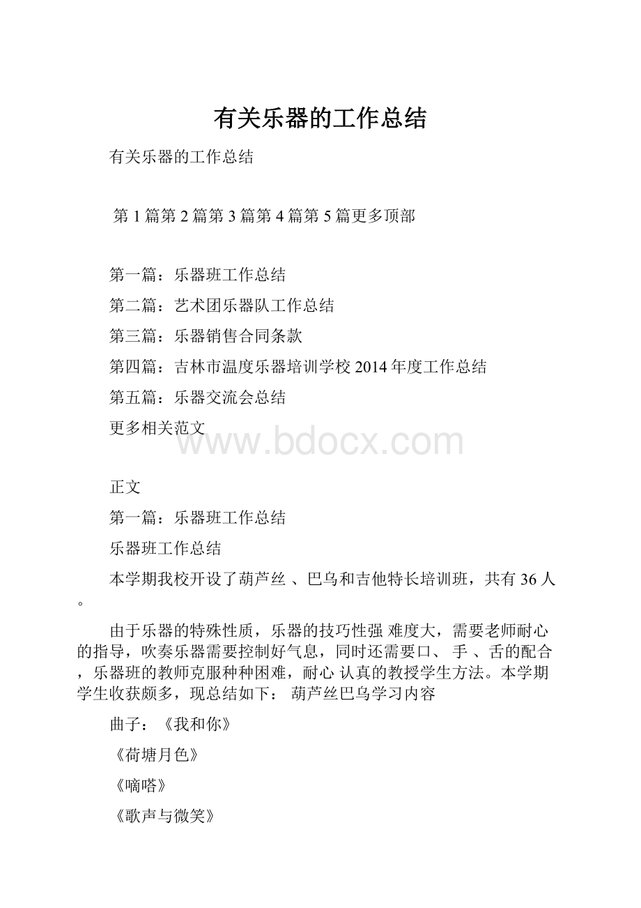 有关乐器的工作总结.docx_第1页