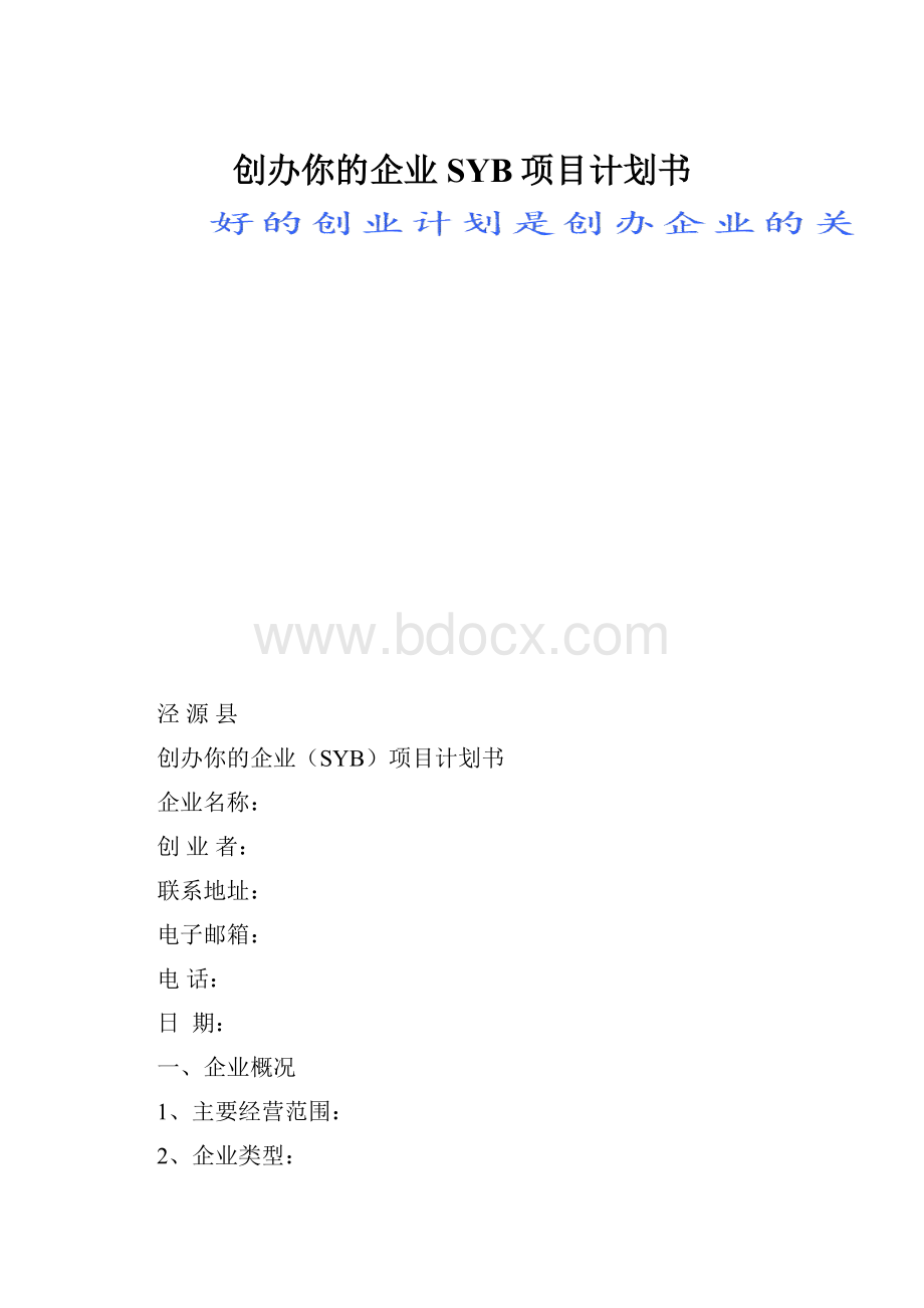 创办你的企业SYB项目计划书.docx