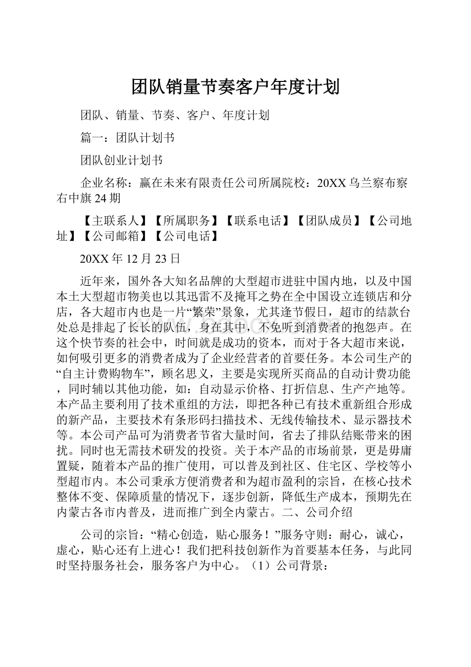 团队销量节奏客户年度计划.docx