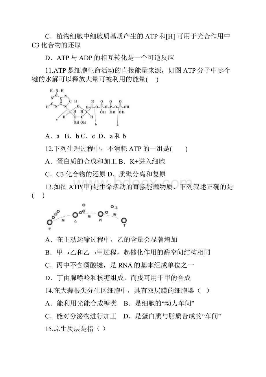 高一吉林省长春市学年高一《生物》上学期期末考试试题及答案.docx_第3页