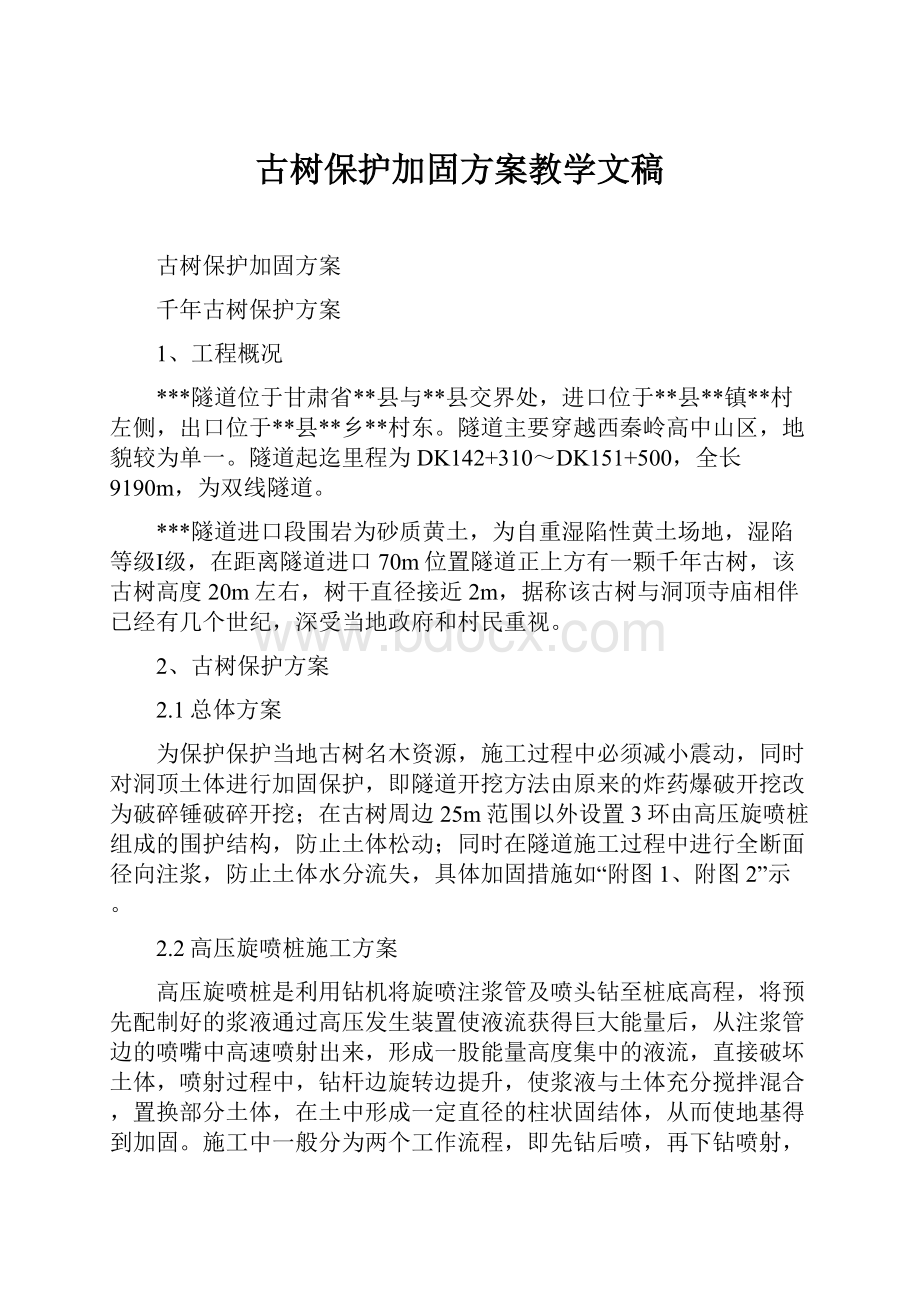 古树保护加固方案教学文稿.docx_第1页