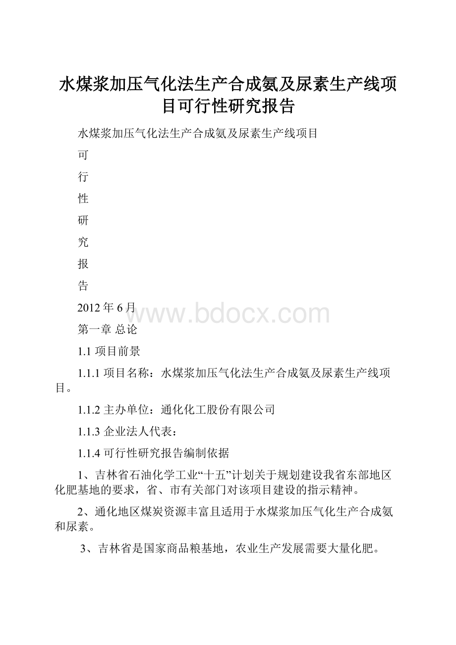 水煤浆加压气化法生产合成氨及尿素生产线项目可行性研究报告.docx