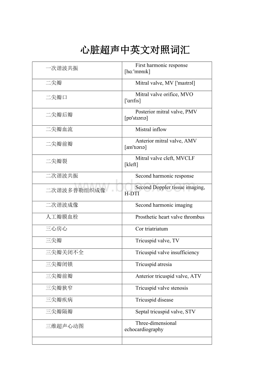 心脏超声中英文对照词汇.docx