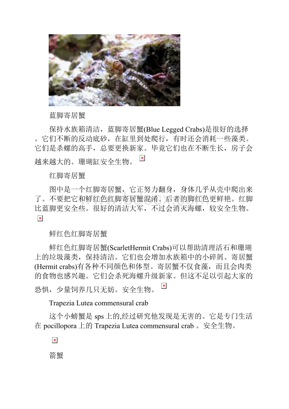 高考地理专题设计螃蟹.docx_第2页