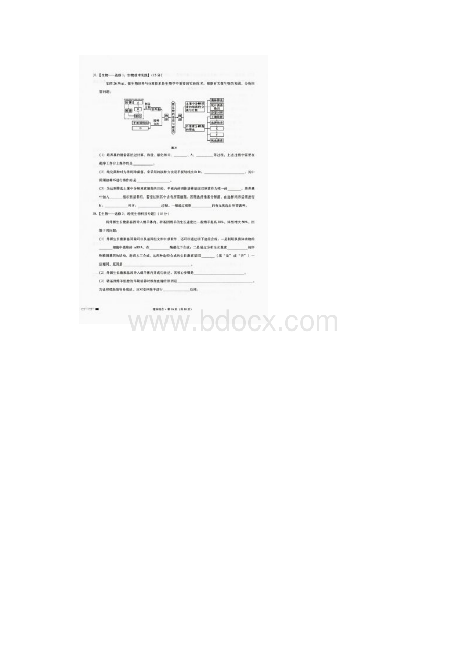 西南名校联盟届高三适应性月考卷八理综生物试题扫描版含答案.docx_第3页