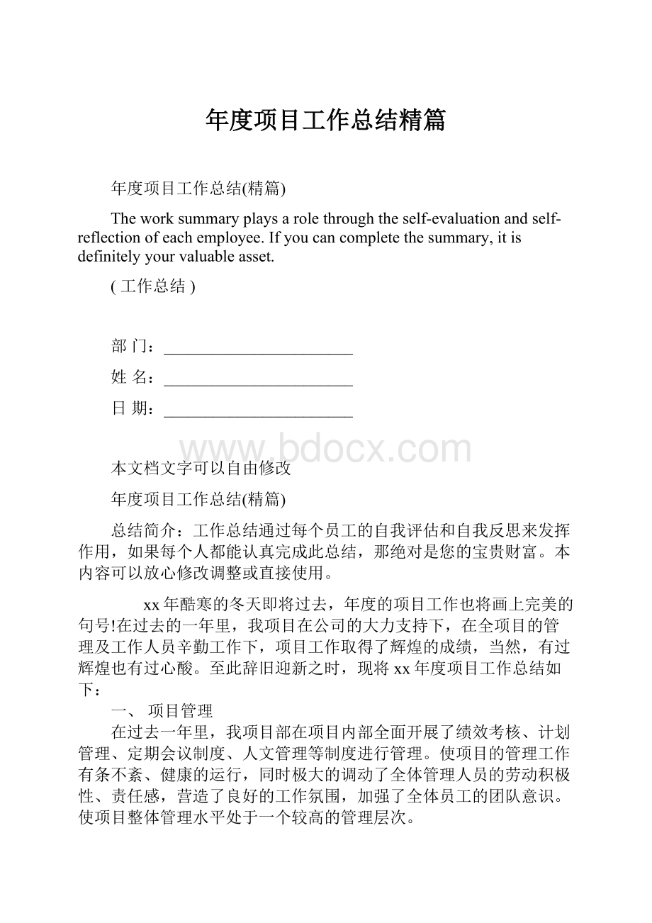 年度项目工作总结精篇.docx