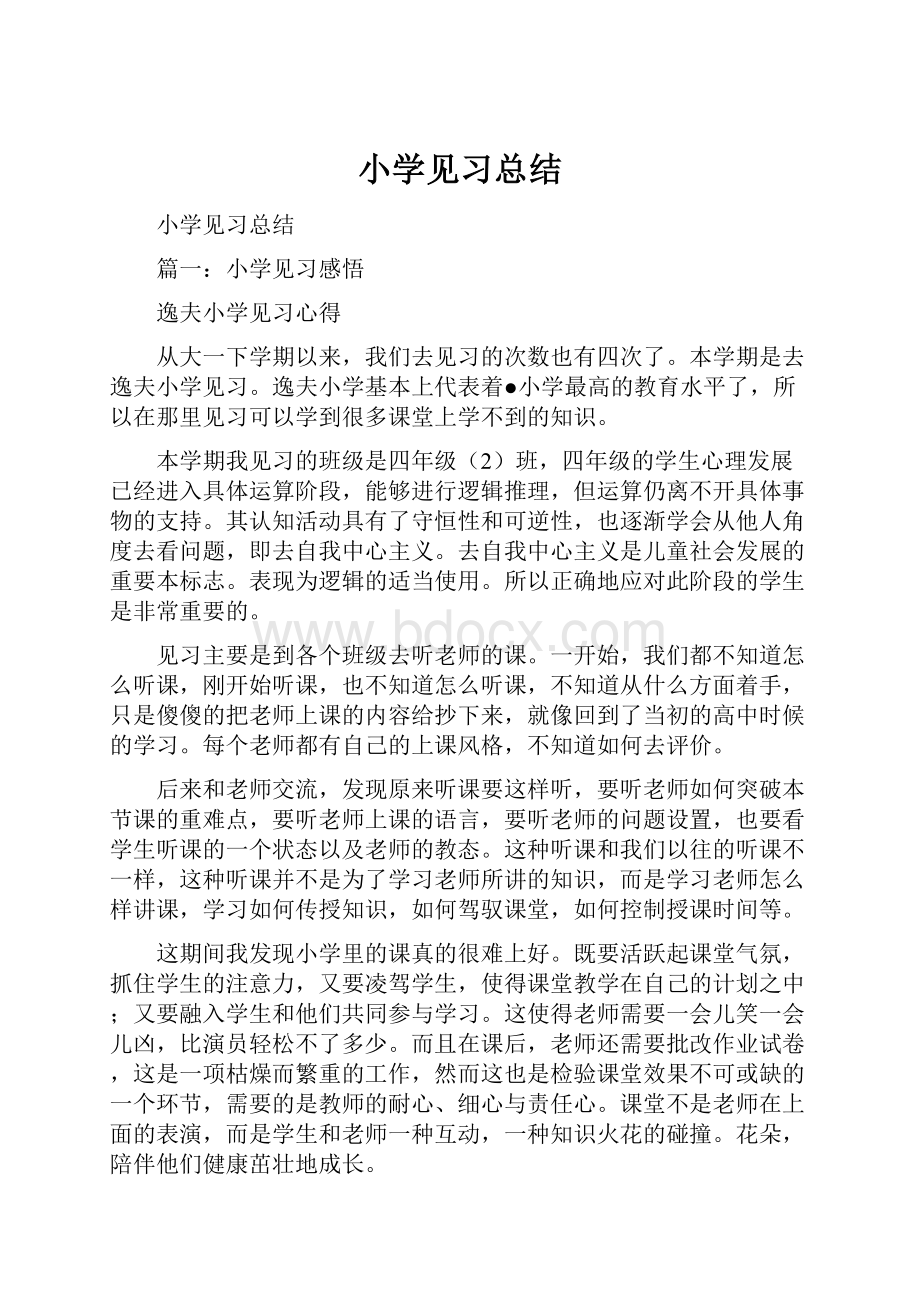 小学见习总结.docx