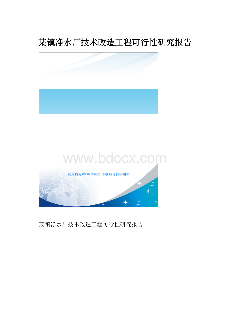 某镇净水厂技术改造工程可行性研究报告.docx