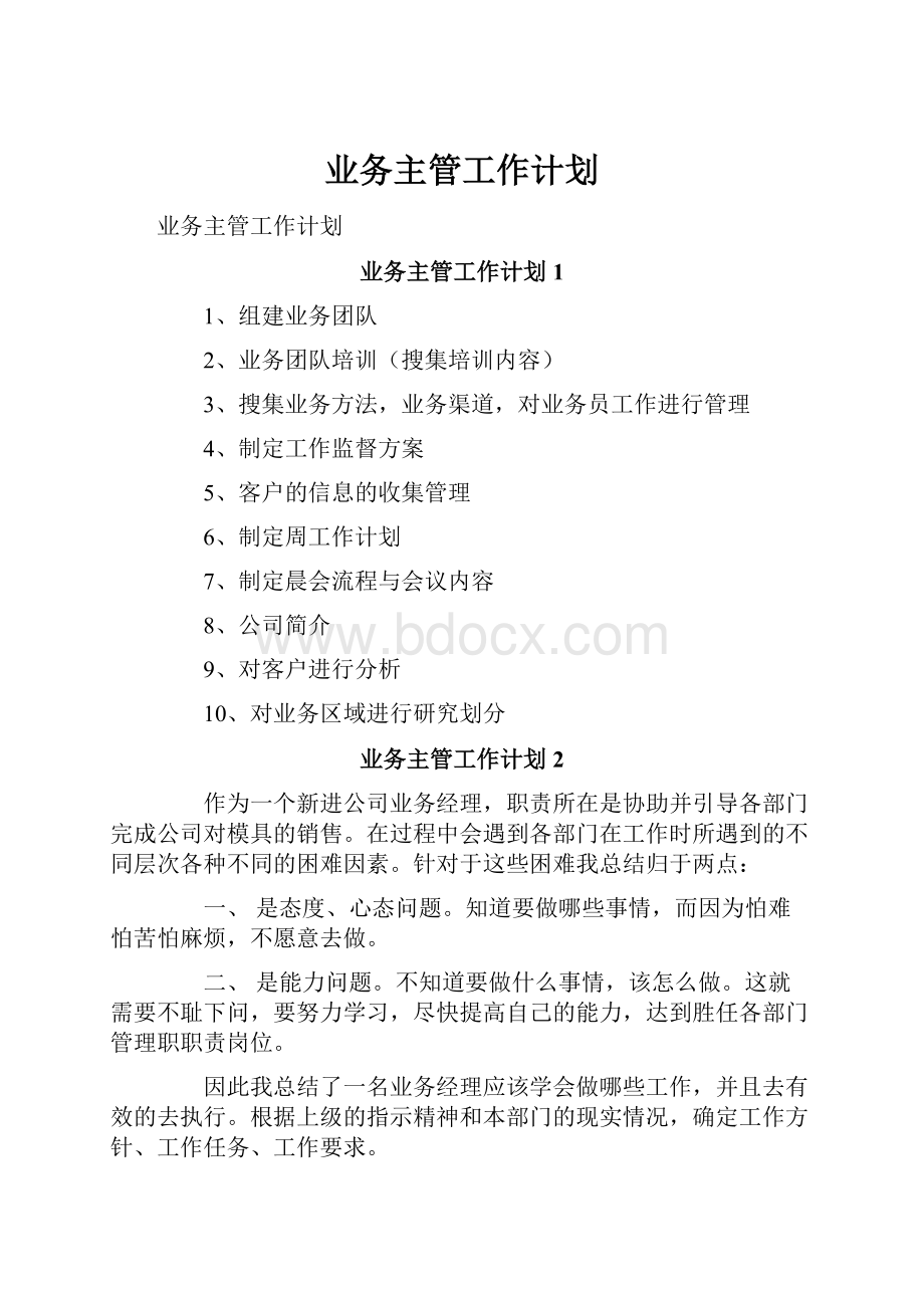 业务主管工作计划.docx