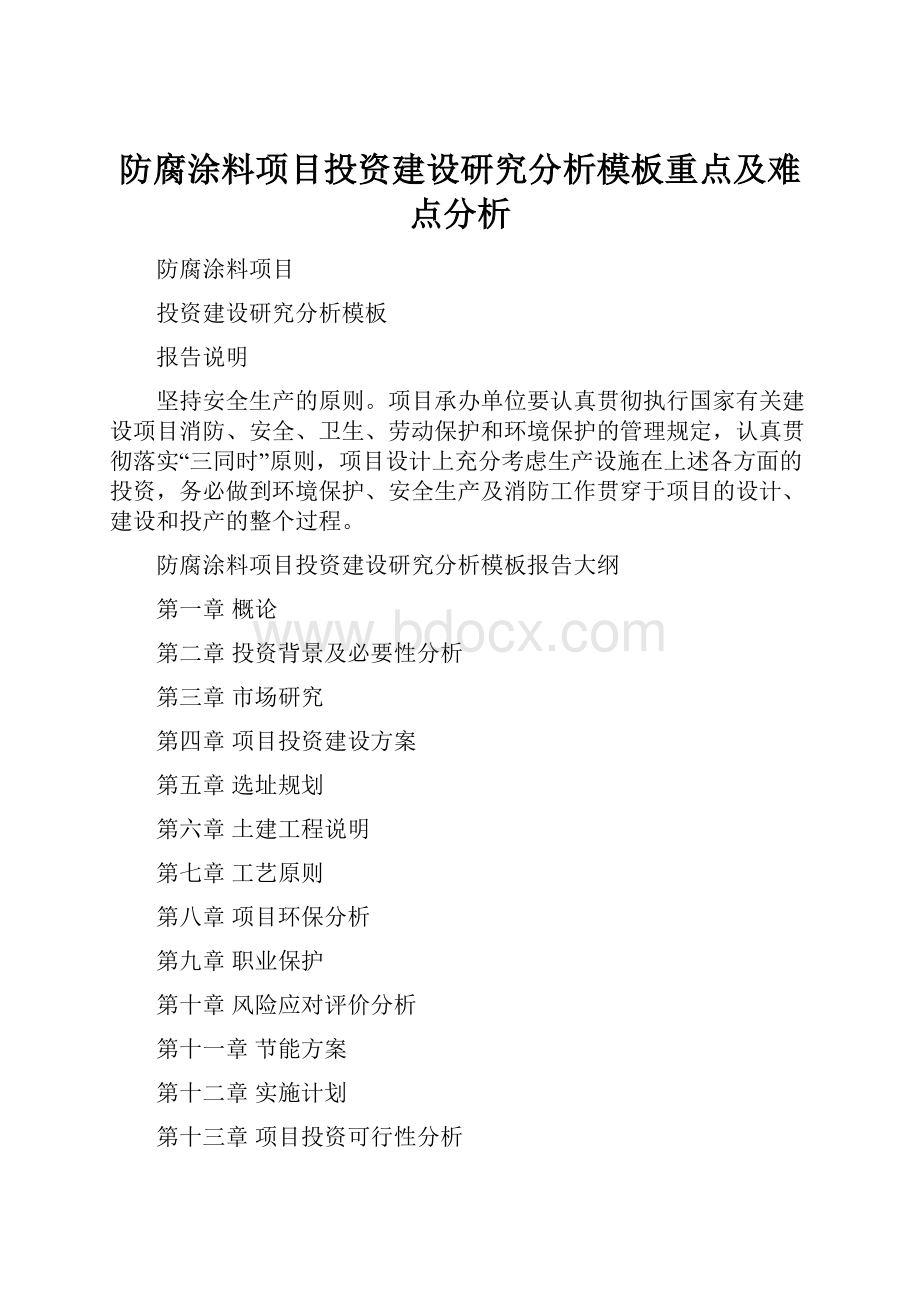 防腐涂料项目投资建设研究分析模板重点及难点分析.docx_第1页