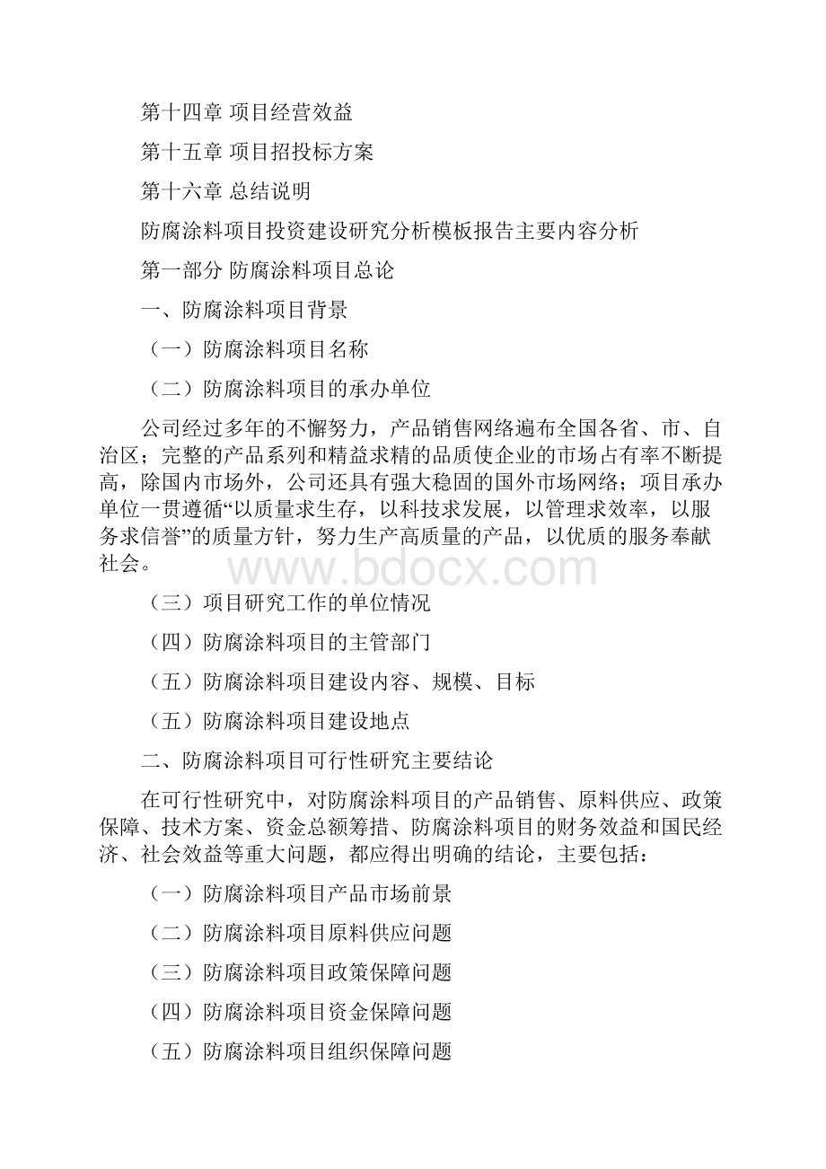 防腐涂料项目投资建设研究分析模板重点及难点分析.docx_第2页