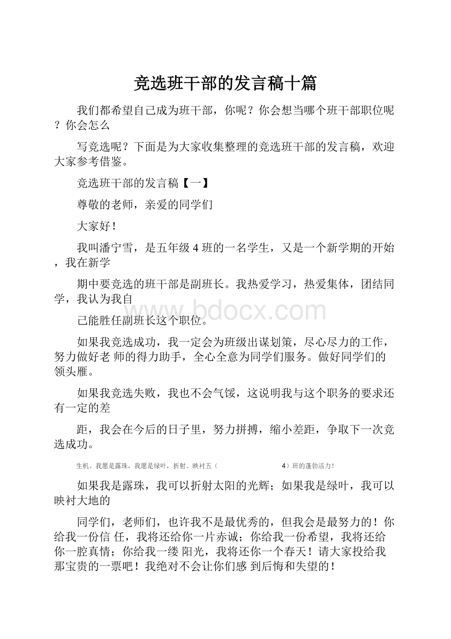 竞选班干部的发言稿十篇.docx