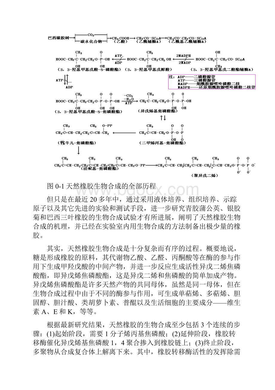 天然橡胶加工与应用进展.docx_第3页