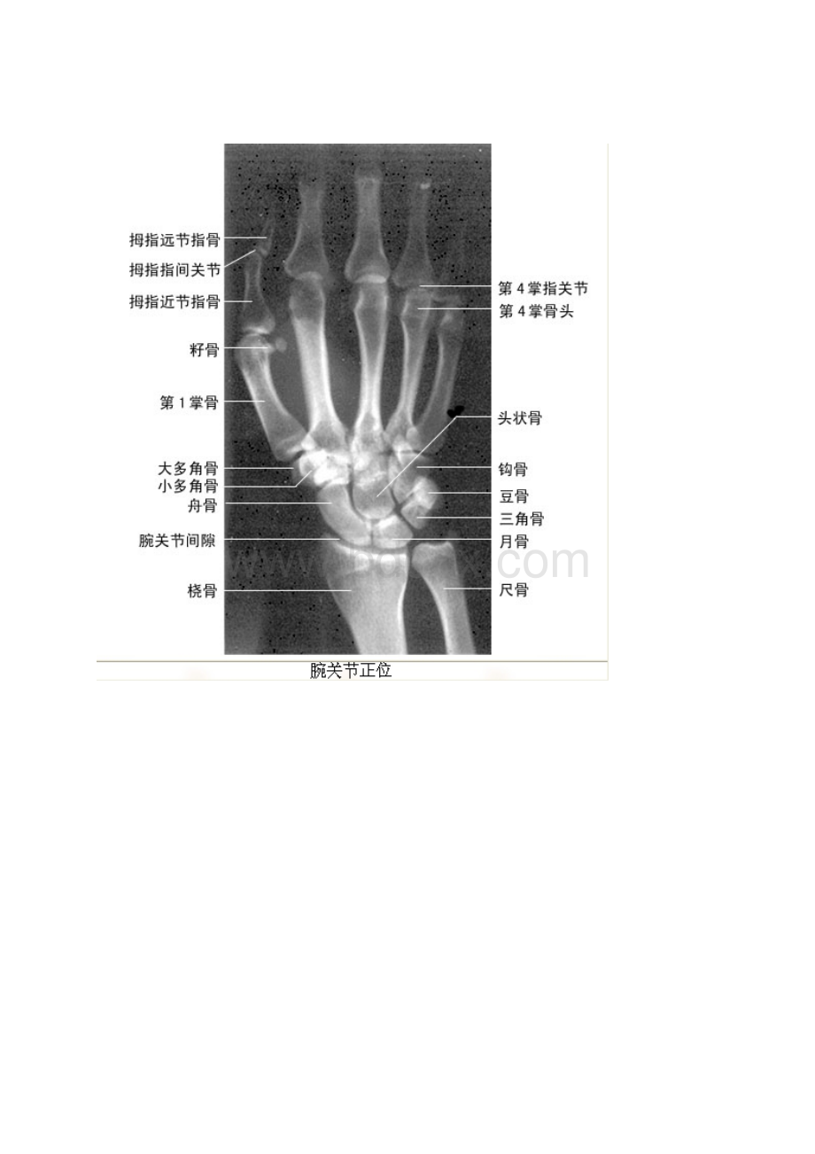 x片阅读.docx_第2页