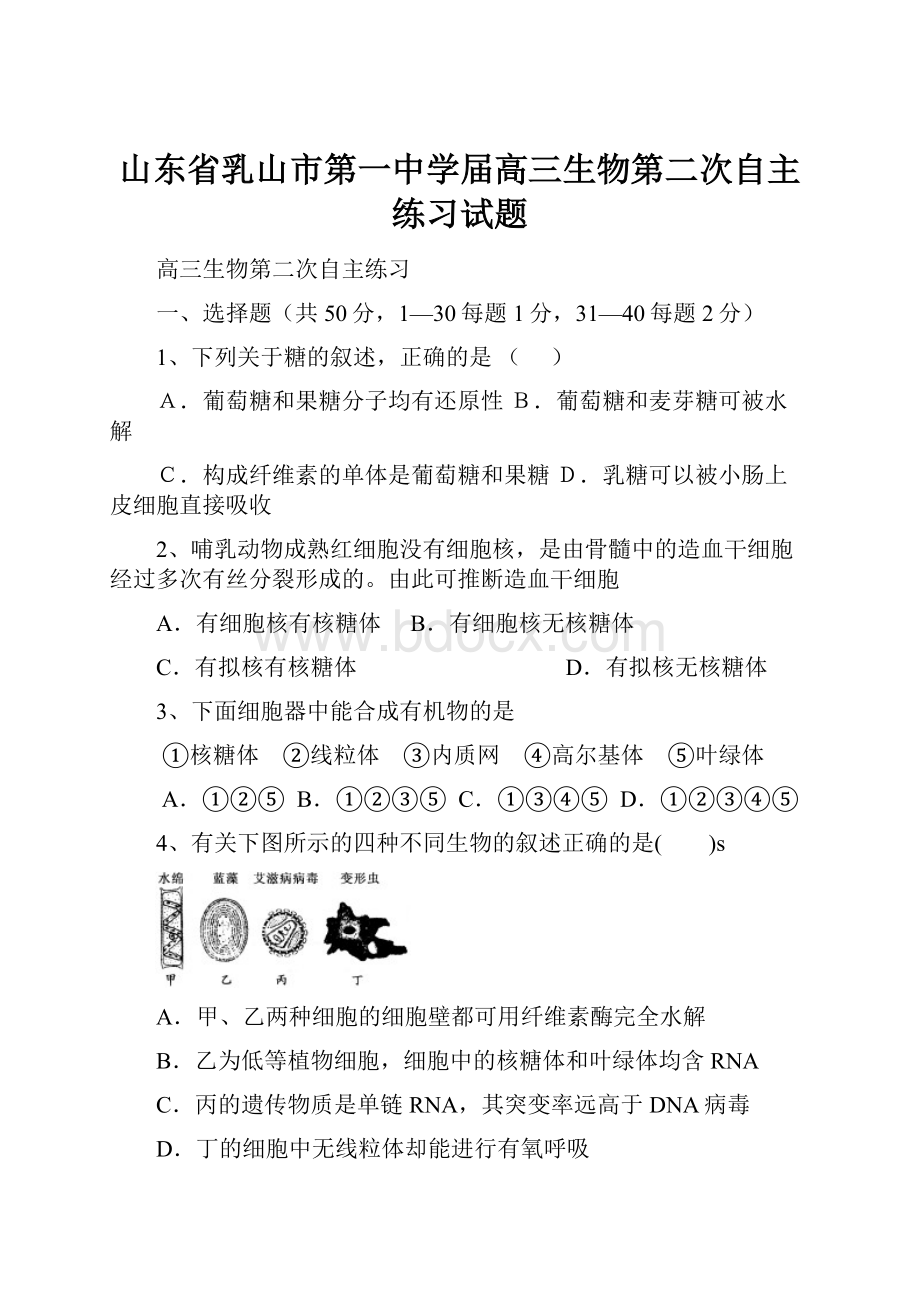 山东省乳山市第一中学届高三生物第二次自主练习试题.docx