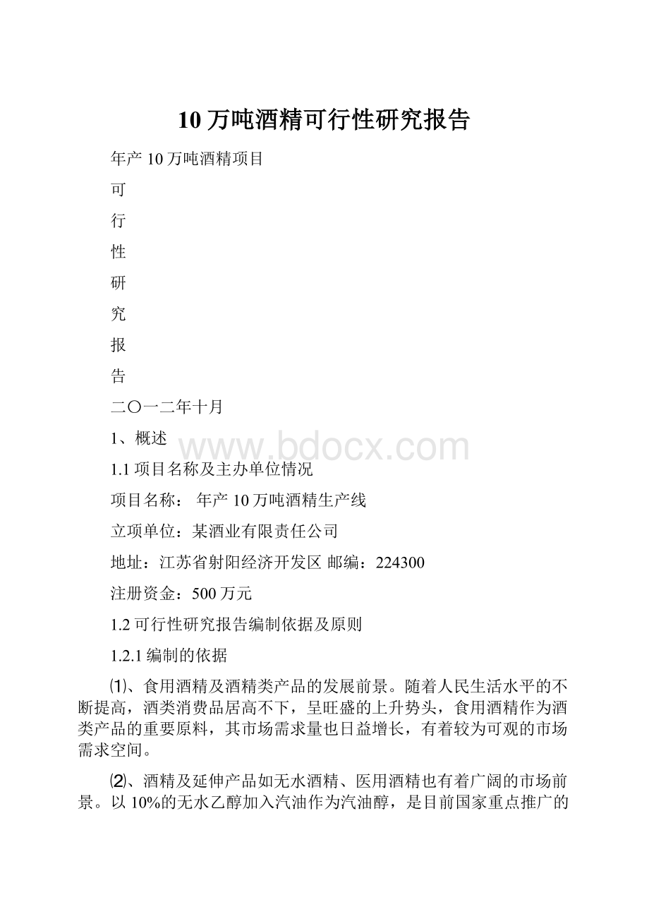 10万吨酒精可行性研究报告.docx_第1页