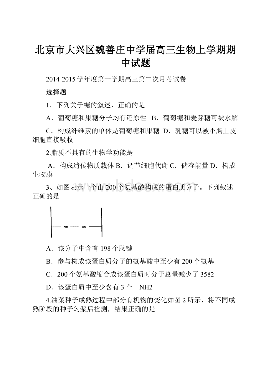 北京市大兴区魏善庄中学届高三生物上学期期中试题.docx_第1页