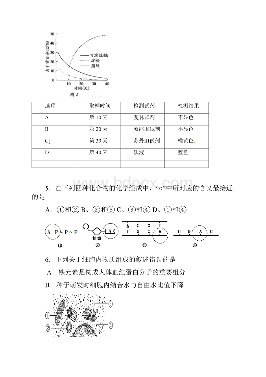 北京市大兴区魏善庄中学届高三生物上学期期中试题.docx_第2页